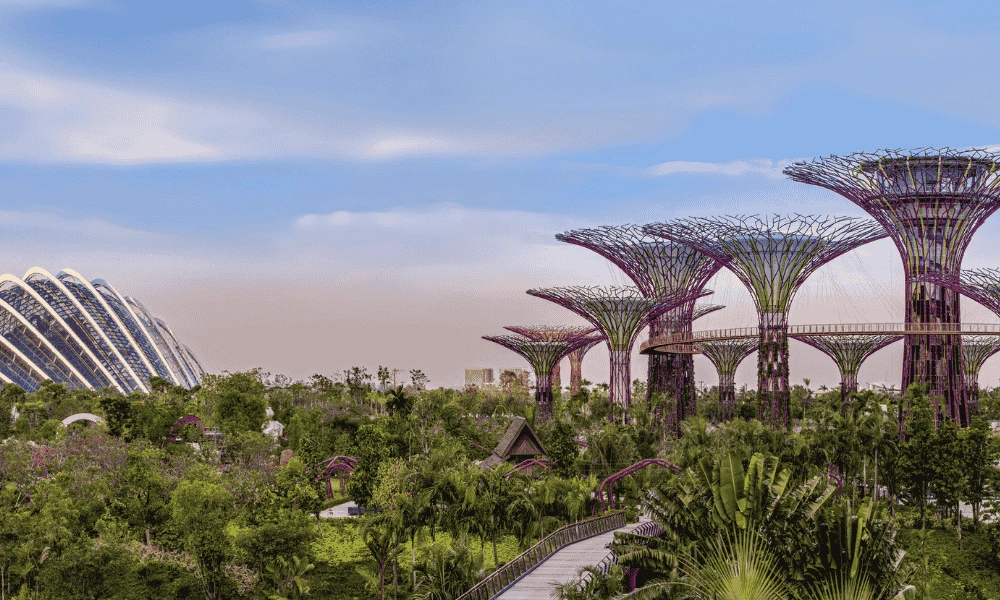 Website Cover 1000 x 600 px 1 5