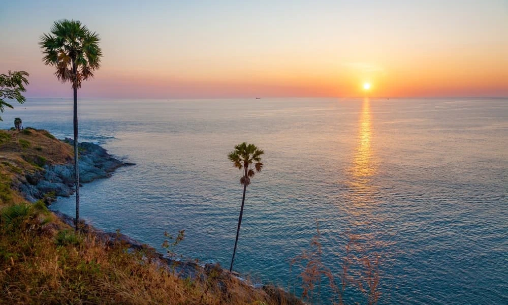 Website Cover 1000 x 600 px 1 8