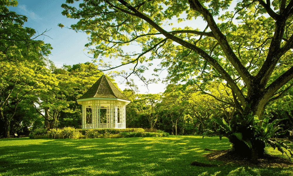 Website Cover 1000 x 600 px 2 3