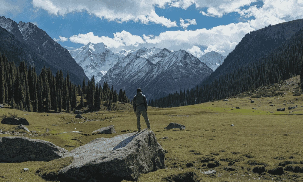 Website Cover 1000 x 600 px 2 4