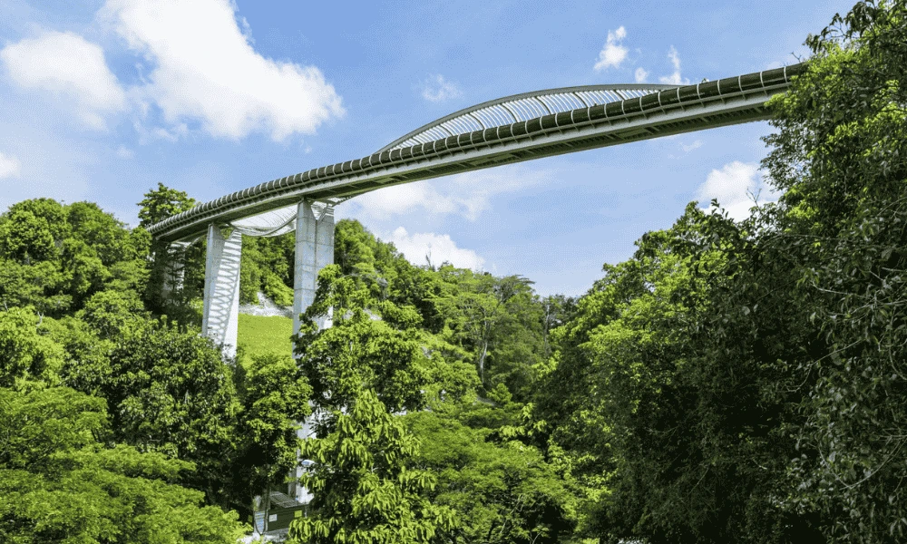 Website Cover 1000 x 600 px 8 1