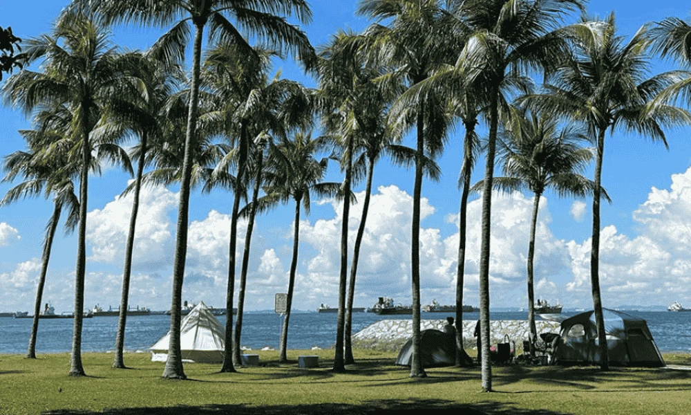 Website Cover 1000 x 600 px 9 1