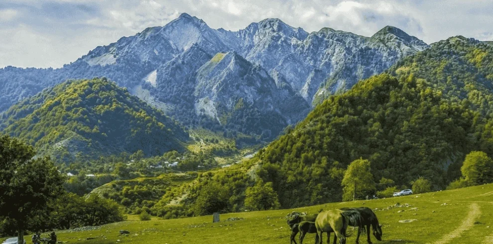 Website Cover 1000 x 600 px