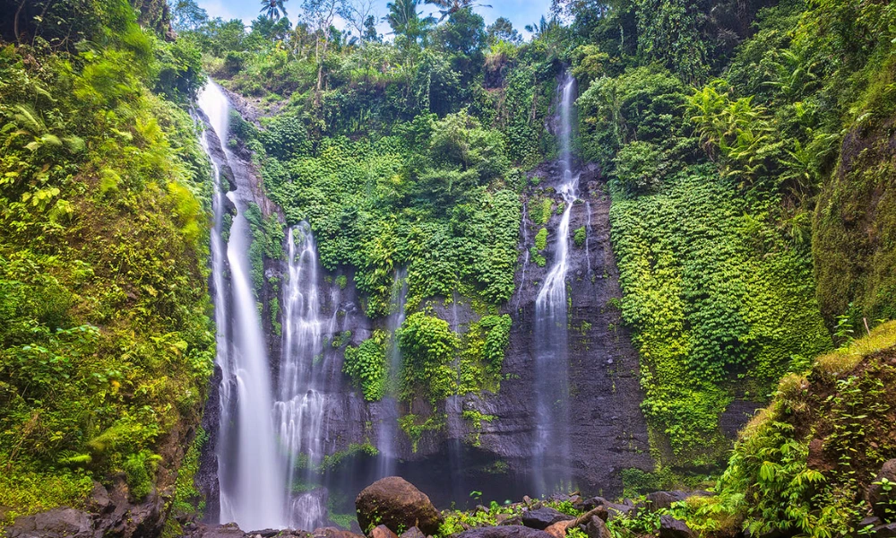 Copy of Website Cover 1000 x 600 px 1 2