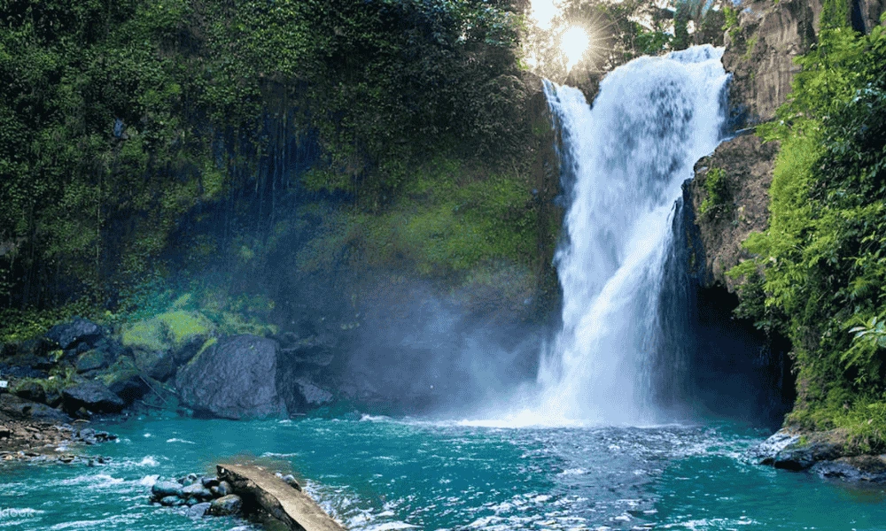Copy of Website Cover 1000 x 600 px 2 1