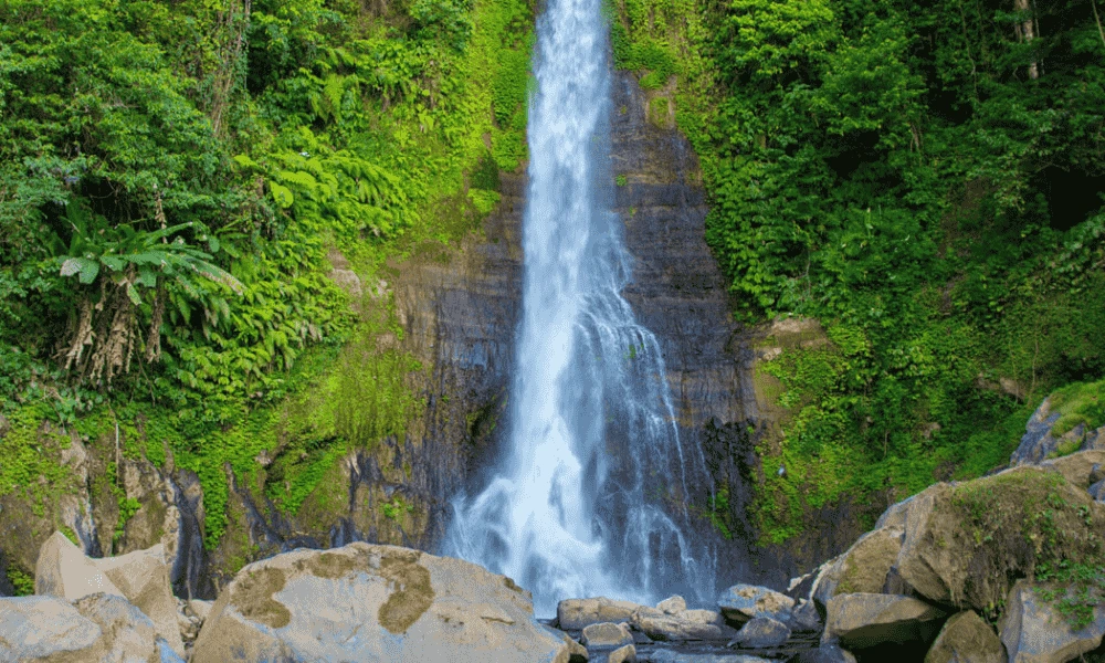 Copy of Website Cover 1000 x 600 px 3 1