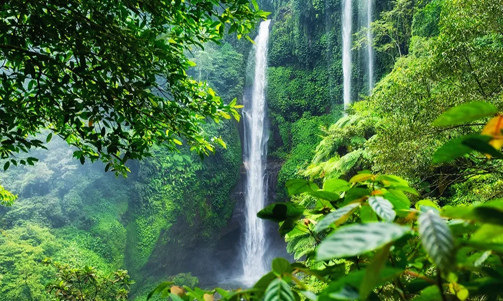 Best Waterfalls in Bali How to Reach Them and What to Pack
