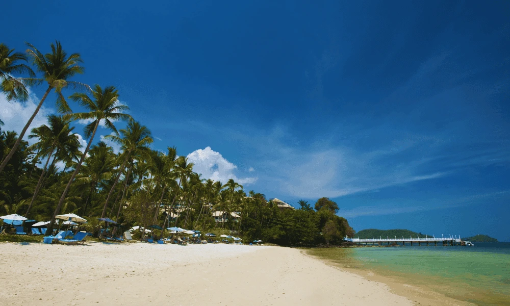 Copy of Website Cover (1000 x 600 px) (4)