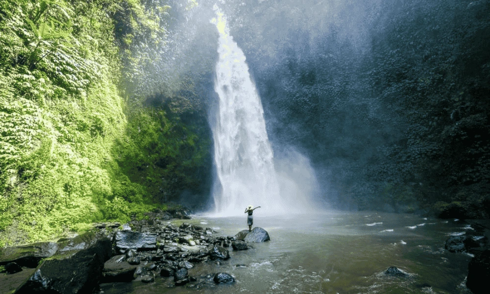 Copy of Website Cover 1000 x 600 px 4