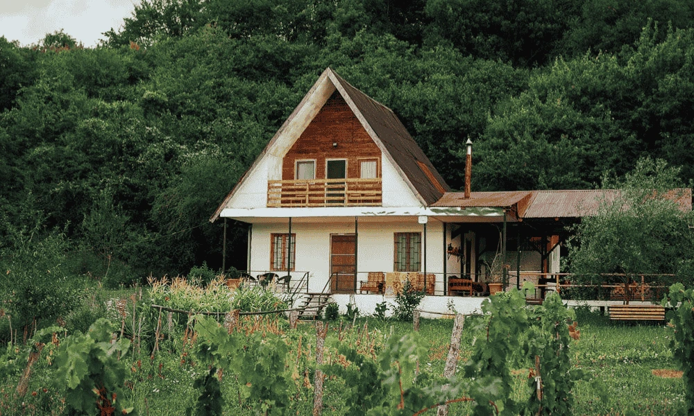 Staying with a Georgian Family Homestays That Offer Real Culture
