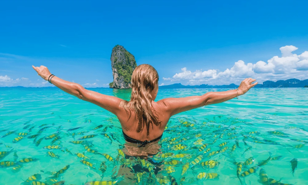 Website Cover 1000 x 600 px 8